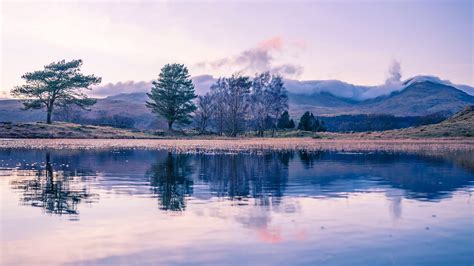 Trees With Reflection On River With Landscape View Of Fog Covered