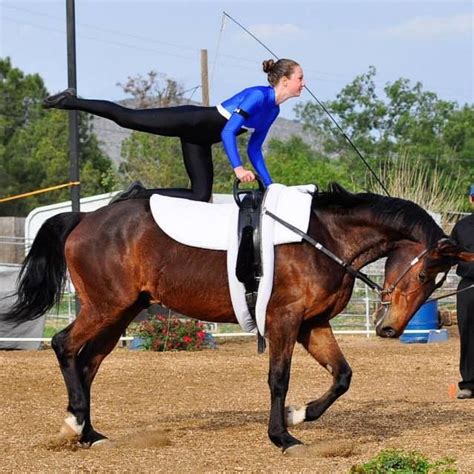 Vaulting Equestrian Horse Vaulting Trick Riding Individual Sport