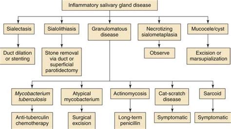 Classification Of Salivary Gland Diseases Dentistry And