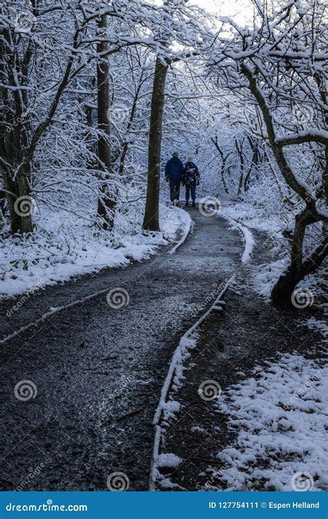 Older Couple Walking In A Winter Wonderland Editorial Photo Image Of