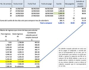 9 con un subsidio de empleo, el gobierno brinda asistencia con los salarios. Complicaciones del ajuste al Subsidio al Empleo que pide ...