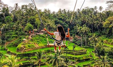 4 Excitements You Will Get In Bali Swing Ubud Rice Terrace Tour