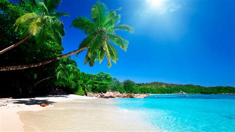 Best Tropical Vacations On A Budget Hd Wallpaper Themes10win