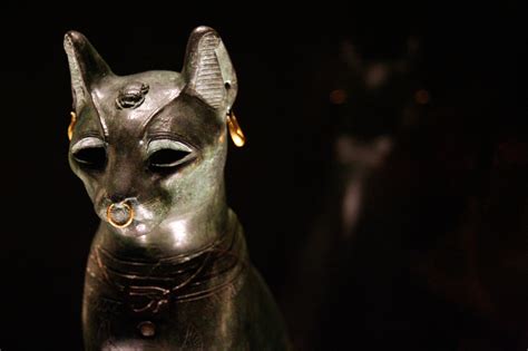 Ancient Egyptians And Their Cats A Moment Of Science Indiana Public Media