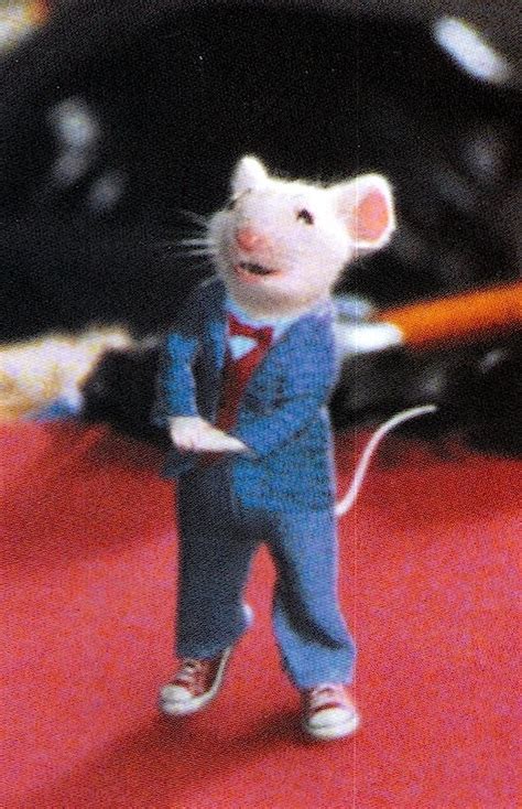 Stuart Little Josephporrodesigns Dibujos Animados Dibujos Hadas