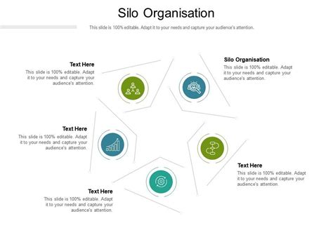 Silo Organisation Ppt Powerpoint Presentation Show Visuals Cpb
