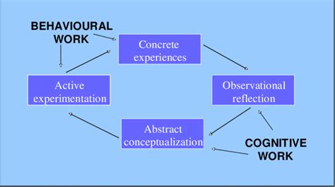 The Learning Cycle And The Cognitive And Behavioural Work Involved In