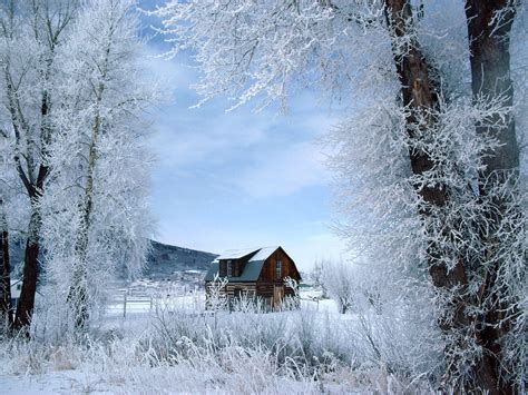 11 Winter Wallpapers ~ Now Thats Nifty