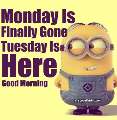 50 Cute Happy Tuesday Cartoon Quotes Tuesday Quotes Happy Tuesday