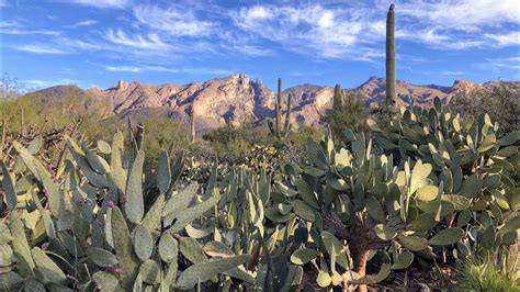 Usa Downtown Tucson And Catalina Foothills Youtube