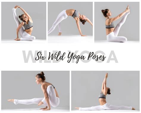 Six Wild Yoga Poses For Advanced Yogis Blissflow