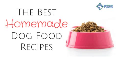The Best Homemade Dog Food Recipes 82 Easy Diy Meals For Your Pup