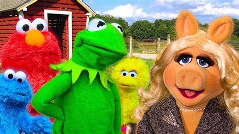 Kermit The Frog Meets Miss Piggy At The Petting Zoo Ft Elmo Cookie
