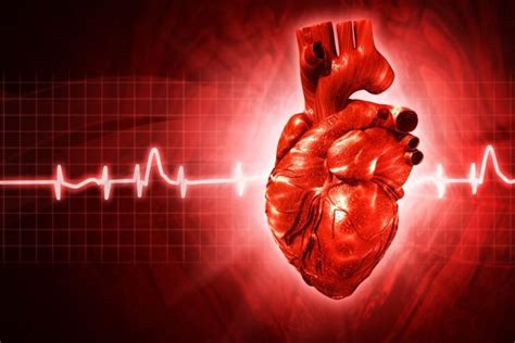 What Is Arrhythmia Symptoms And Treatment Pulse Cardiology