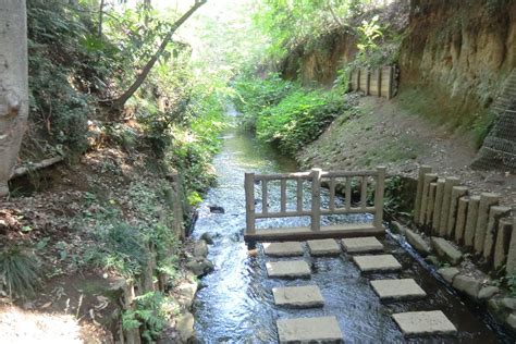 (cantonese) to come out of the water. 秋の玉川上水を歩く::Weblog