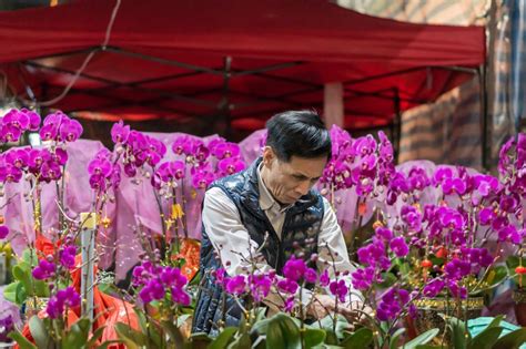 Check spelling or type a new query. 2020 Chinese New Year Flower Fair | Jan 18-19