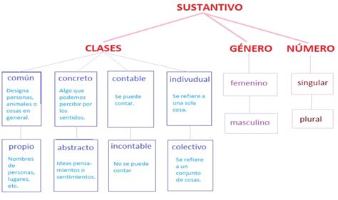 La Clase De Flor 5º De Primaria Lengua Ud 4 El GÉnero Y El NÚmero