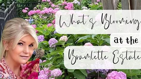 Whats Blooming At The Bramlette Estate Youtube