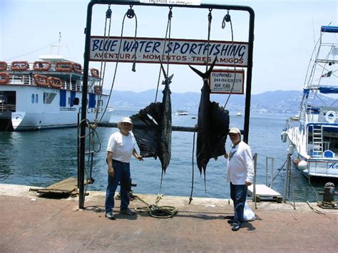 Pesca Deportiva En Acapulco Lo Que Se Debe Saber Antes De Viajar