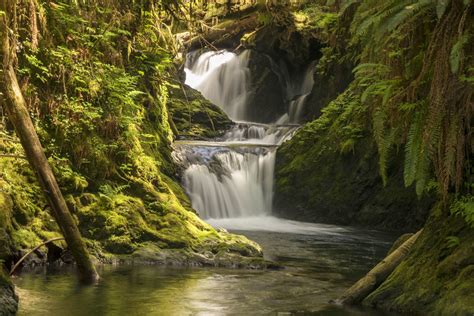 The Best Rain Forest Waterfalls On The Olympic Peninsula Wa