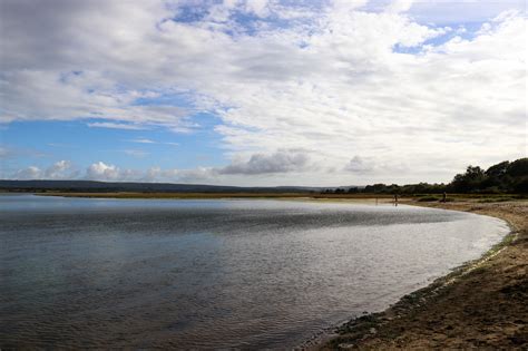 Rspb Arne Nature Reserve Uk