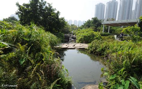 Kanggaswara Wetland Park Hong Kong