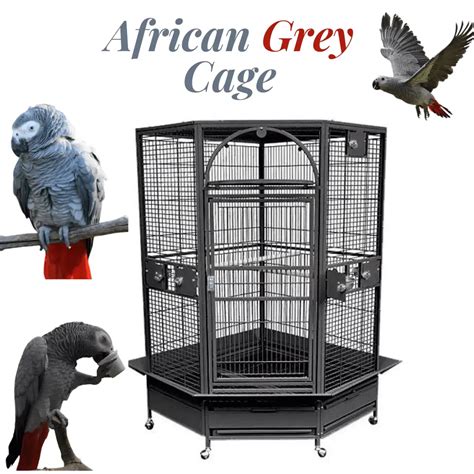 The 10 Best Parrot Cages Ranking And Buying Guide Top Parrot Cages
