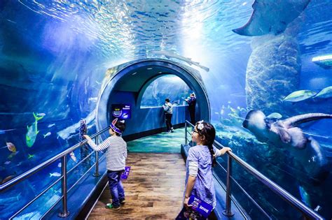 14 Best Indoor Things To Do In Melbourne With Kids