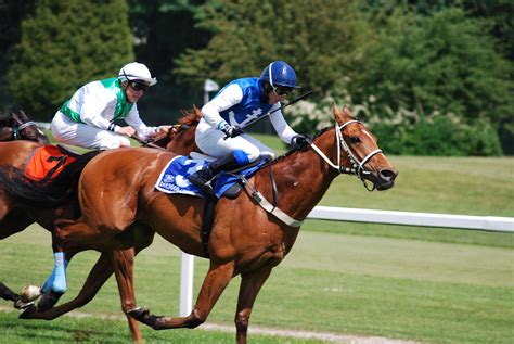 Free Images Race Horses Jockey Racecourse Horse Racing Eventing