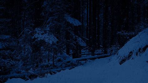 Snowy Path In The Woods At Night By Rockfordmedia Videohive