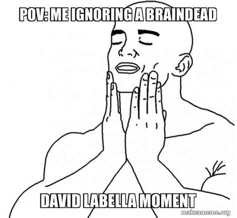 Pov Me Ignoring A Braindead David Labella Moment Feels Good Meme Generator