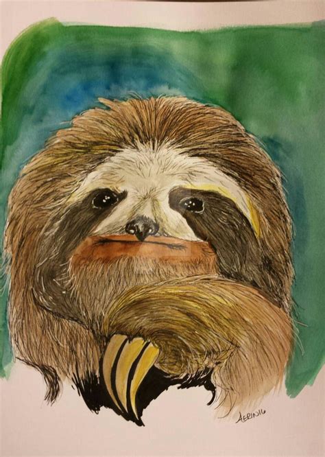 Sloth By Crazycatmum100 On Deviantart