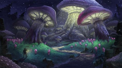 Mushroom Wallpaper 70 Images
