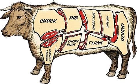 Mengenal Bagian Daging Sapi - Sinau Ternak