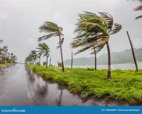 Tropical Storm Heavy Rain And High Winds In Tropical Climates Stock