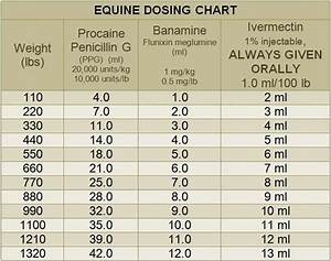 Equine Dosing Chart Equine Health Plus Diy Horse Related Things
