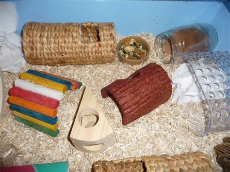 Hamster Habitat Home Cage Accessories Hamster Diy Hamster Habitat