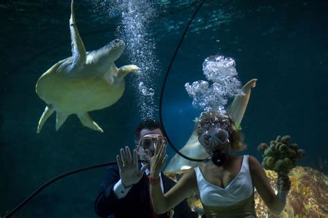 11 Unusual Wedding Photos That Will Take Your Breath Away Huffpost Life