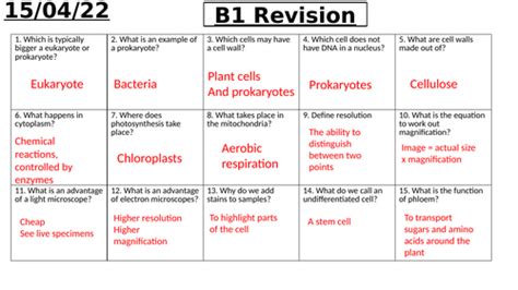 B1 Triple Biology Revision Teaching Resources