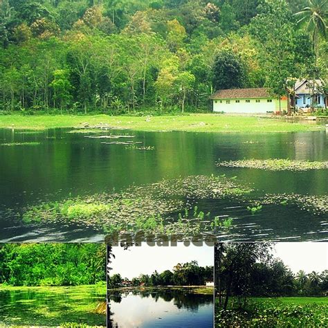 Harga tiket masuk kawasan wisata kebun teh cipasung majalengka di banderol rp.10.000 / orang dan biaya parkir untuk memanjakan para pengunjungnya, pihak pengelola kawasan sudah menyediakan beberapa fasilitas pendukung wisata yang bisa anda nikmati, antara lain sebagai berikut Nomor Hp Pengelola Kebun Teh Cipasung Majalengka - Promo Terbaru Xl Paket Combo Xtra Telfon Dan ...