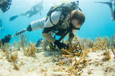Reef Restoration With Scubanauts And Mote Combat Wounded Veteran
