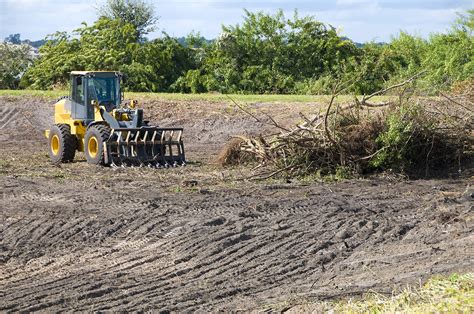 Land Clearing And Site Preparation Service Affordable Tree Service