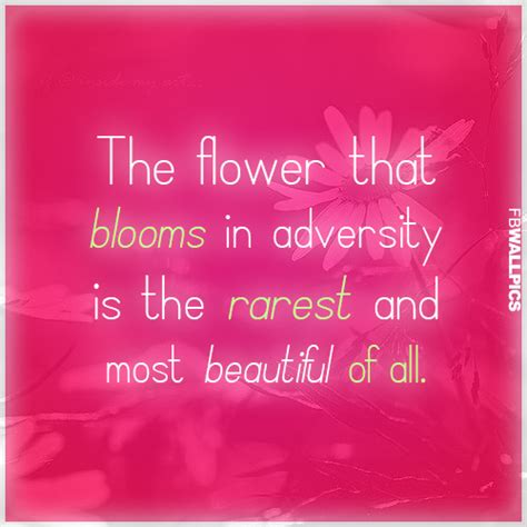 Inspirational Quotes About Flowers Blooming Quotesgram