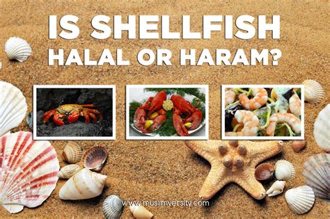 According to the shafi'i, maliki and hanbali branches of islam, all fish and shellfish would be halal. Is Seafood Halal? (Crab, Lobster, Shark, Octopus, Oyster ...