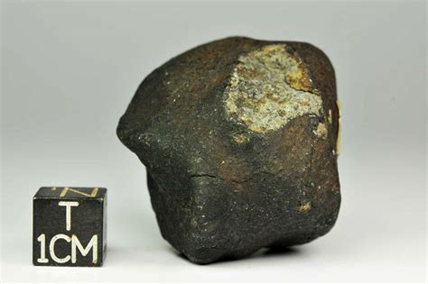 Meteoryty Na Sprzedażwymianę Meteorites For Saletrade