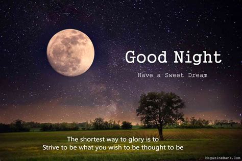 Sweet Good Night SMS Text Messages For Friends In English | SMS Wishes Poetry | Good night ...