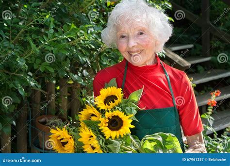Smiling Senior Lady Gardening In Her Yard Stock Image Image Of Happy