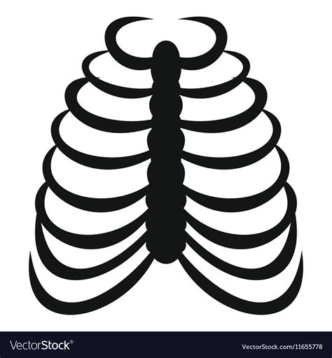 Your rib cage plays a vital role as a protective rigid enclosure for your heart and lungs. Skeleton Rib Cage Vector - Ribcage Human Skeleton Stock ...
