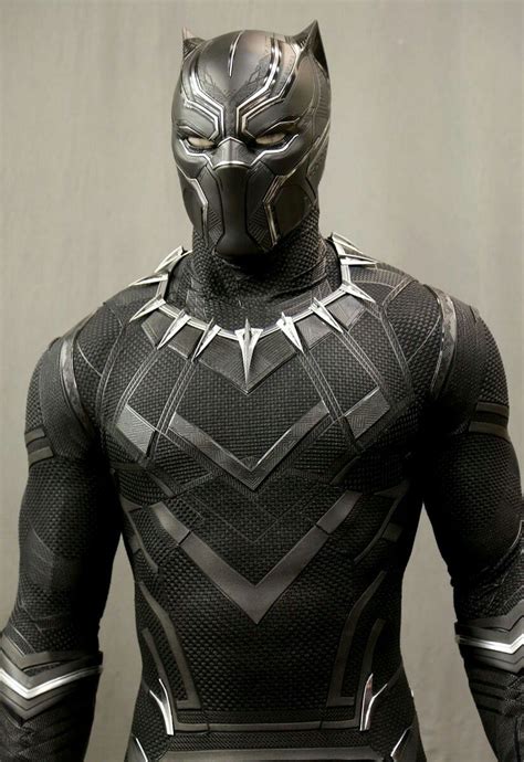 Black Panther Suit Black Panther Marvel Pantera Negra Ator Gato