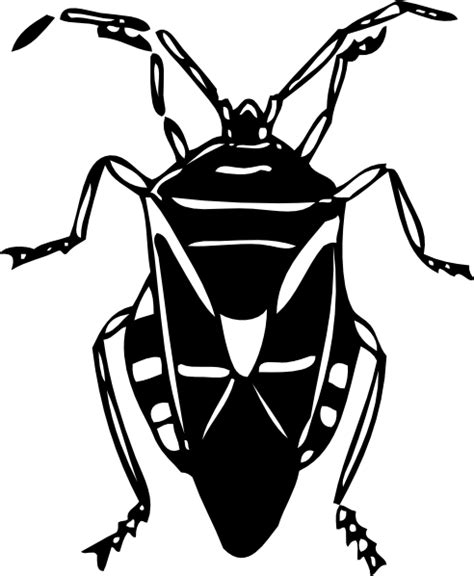 Bug Clip Art At Vector Clip Art Online Royalty Free